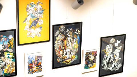 Межі зникаючих форм