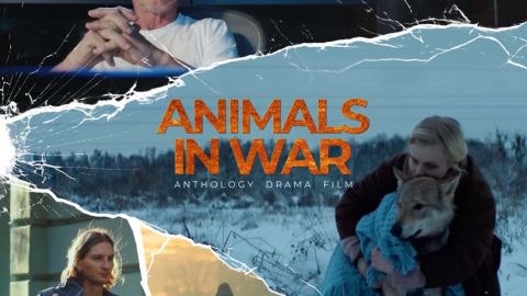 Український кіноальманах «Війна очима тварин» вийде в американський прокат